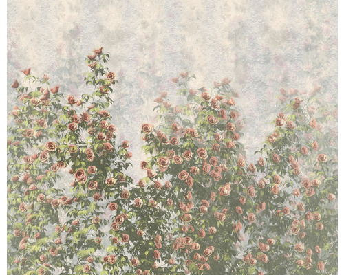 KOMAR Fotobehang vlies LJX6-038 Le Jardin Wall roses 300x250 cm