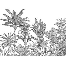 Illustratie van verschillende tropische planten