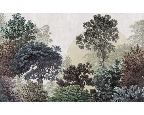 KOMAR Fotobehang vlies LJX8-058 Le Jardin Bois brumeux 400x250 cm