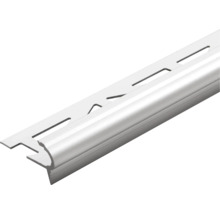 DURAL Traptredenprofiel Florentostep zilver 9 mm x 100 cm