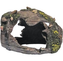 Decoratief aquariumornament in houtlook met mos en schelpen