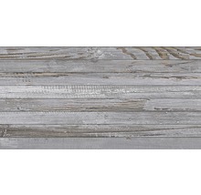 Wandtegel Tribeca grijs 32x62,5cm