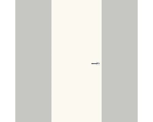 Witte binnendeur met deurklink