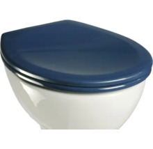 Close-up van een toilet met blauwe toiletbril