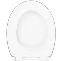 Toiletdeksel van kunststof