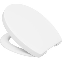 Toiletdeksel van kunststof