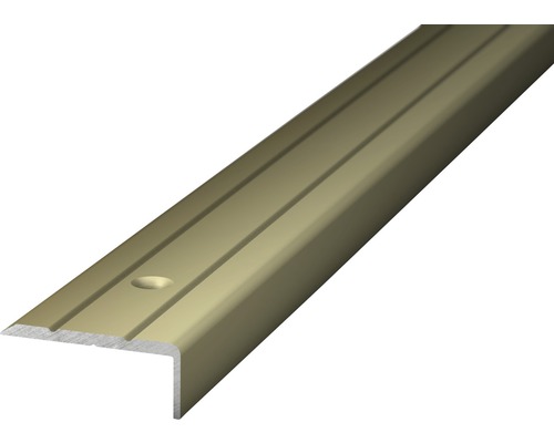 PRINZ Trapprofiel 24,5x10 mm aluminium RVS 100 cm Trapkantprofiel van metaal met groeven en bevestigingsgaten