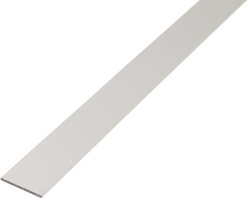 GAH.ALBERTS Platte stang 50x3 mm aluminium zilver, 100 cm Platstaal