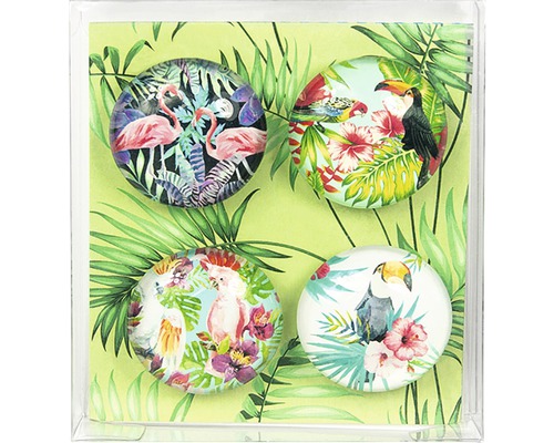Vier tropische magneten met flamingo-, kaketoe- en toekanmotieven