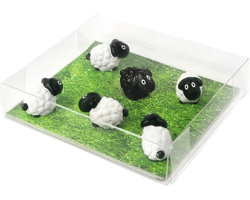 Decoratieve schaapskudde in transparante doos op groene weide