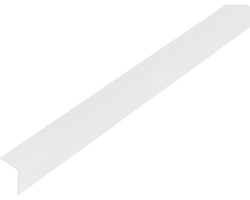 GAH.ALBERTS Hoekprofiel 20x20x1,5 mm kunststof transparant 100 cm Wit decoratief lint