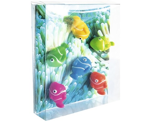 Decoratieve aquarium magneet met vismotieven