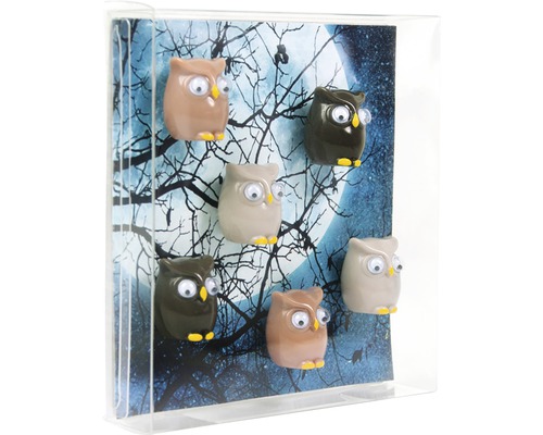 Decoratieve magneten in de vorm van uilen tegen een achtergrond met een maanmotief