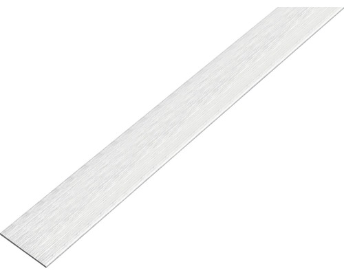 GAH.ALBERTS Platte stang zelfklevend 15x2 mm aluminium RVS-look licht, 100 cm