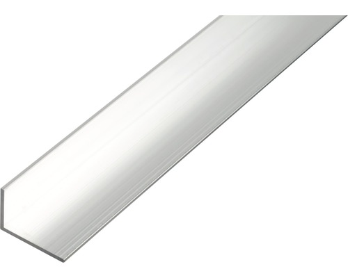 GAH.ALBERTS Hoekprofiel 40x10x2mm aluminium blank 100 cm