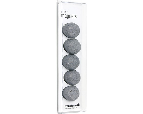 TRENDFORM Magneten met haak gummibeer meerkleurig 4 stuks
