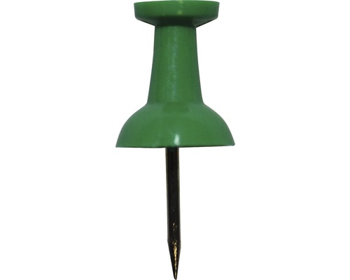 DRESSELHAUS Punaise Pushpin metaal/kunststof groen, 12 stuks Punaises met kunststof kop