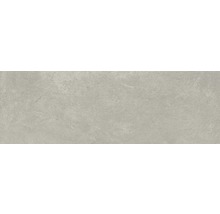 Wandtegel Reine grey mat 30x90 cm gerectificeerd