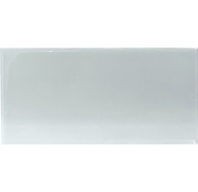 Wandtegel Verm T. green 10x20 cm