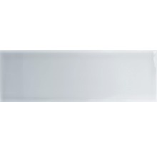 Wandtegel Verm T. green 10x30 cm