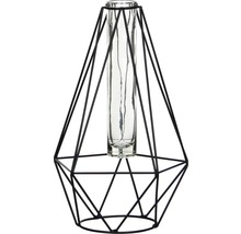 Decoratieve vaas met geometrisch ijzeren frame en glazen buis