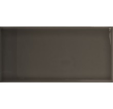 Wandtegel Verm slate grey 10x20 cm