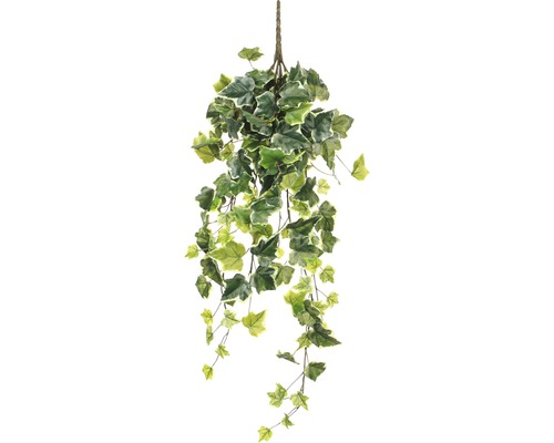 Kunstplant Hedera L 71 cm Kunstmatige hangende klimop