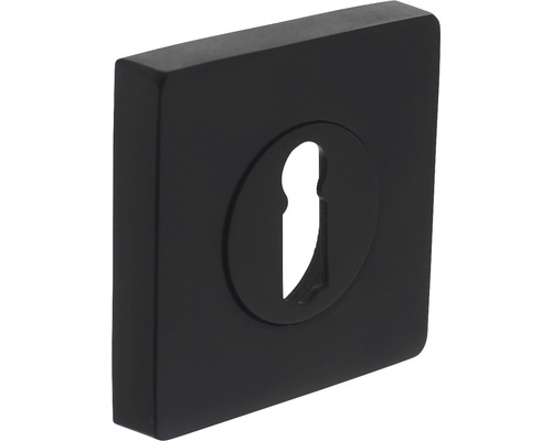 INTERSTEEL Rozet vierkant met sleutelgat zwart mat