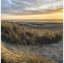 Landschap met grasduinen en waddenzee