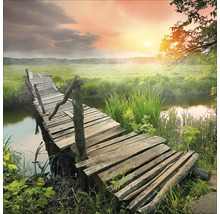Houten voetgangersbrug over een beek in een landelijke omgeving bij zonsopgang