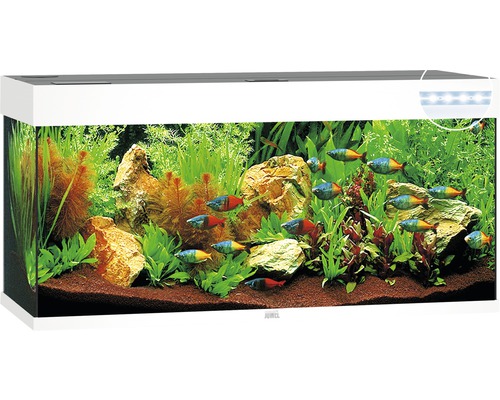 JUWEL Aquarium Rio LED wit 240 L, 121x41x55 cm