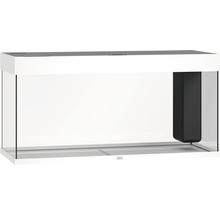 Wit glazen aquarium met geïntegreerd intern filter