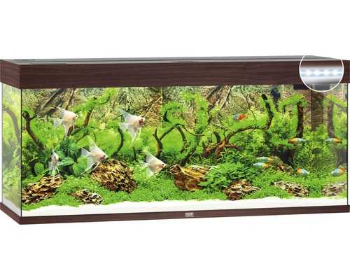 JUWEL Aquarium Rio LED donker hout 240 L, 121x41x55 cm