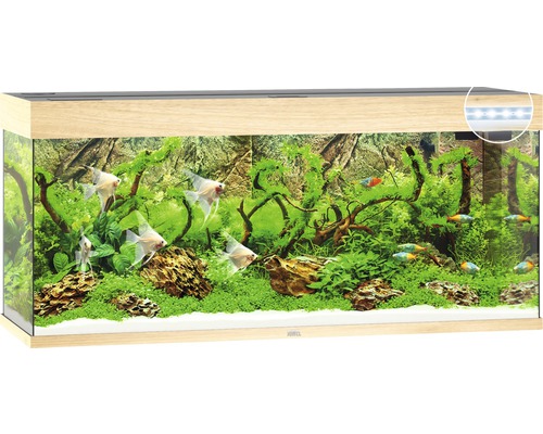 JUWEL Aquarium Rio LED licht hout 240 L, 121x41x55 cm JUWEL Aquarium Rio LED licht hout 240 L, 121x41x55 cm