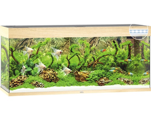 JUWEL Aquarium Rio LED licht hout 240 L, 121x41x55 cm