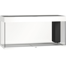 Leeg aquarium met filter