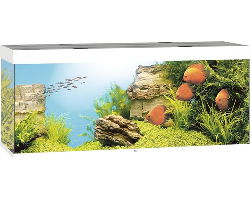 JUWEL AQUARIEN Aquarien-Set good »Rio 450 LED«, BxTxH: 151x51x146 cm