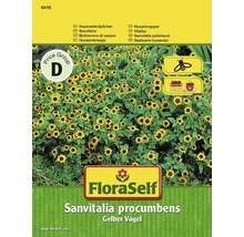 FLORASELF® Sanvitalia geel