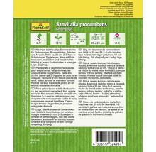 FLORASELF® Sanvitalia geel