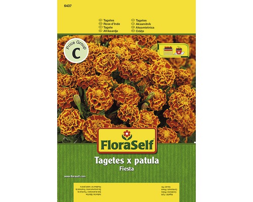 FLORASELF® Afrikaantje Fiësta FLORASELF® Afrikaantje Fiësta