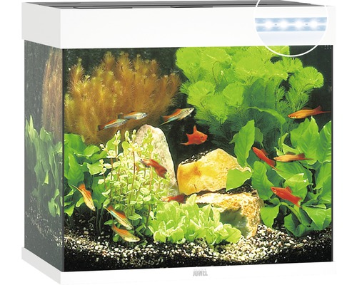 JUWEL Aquarium Lido LED wit 120 L, 61x41x58 cm