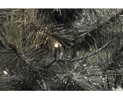 Close-up van een kerstboom met verlichting en sneeuw