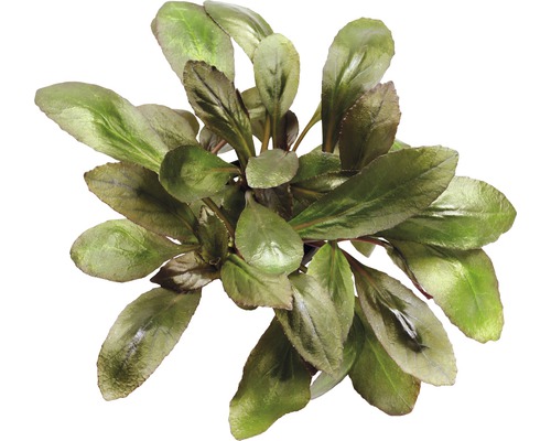 Kunstmatige aquariumplant met groene bladeren