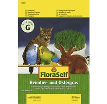 FLORASELF® Kattengras-thumb-0