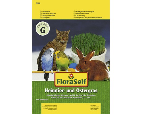 FLORASELF® Kattengras-0