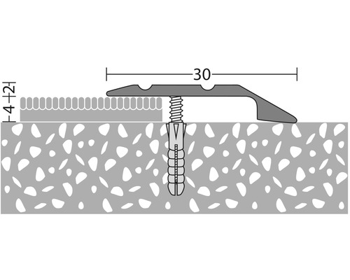 Illustratie van een overgangsprofiel met schroef en plug voor montage.