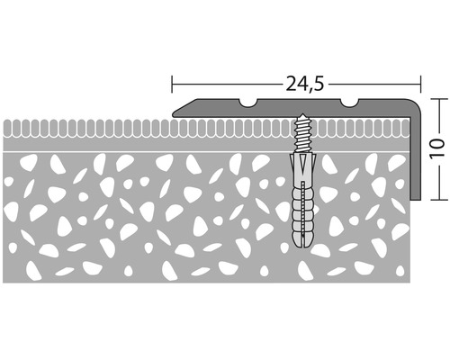 Schets van een eindprofiel met schroef en plug, afmetingen 24,5 x 10 mm