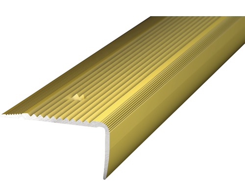 PRINZ Trapprofiel 45x23 mm aluminium goud 100 cm-0