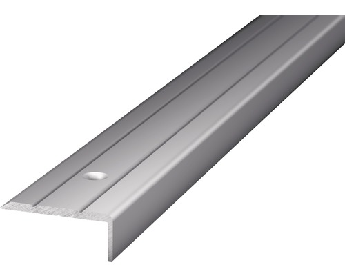 PRINZ Trapprofiel 24,5x10 mm aluminium zilver 100 cm Traprandprofiel van metaal met boorgaten