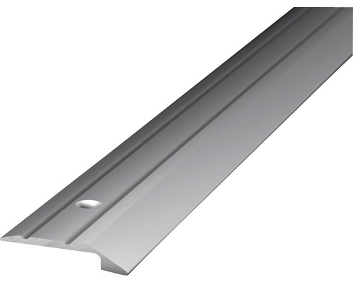 PRINZ Afsluitprofiel 30 mm aluminium zilver 100 cm